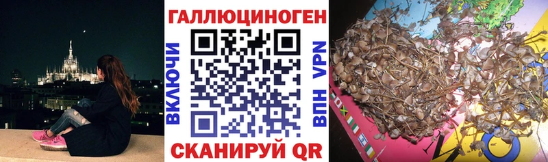 Галлюциногенные грибы ЛСД Волжск