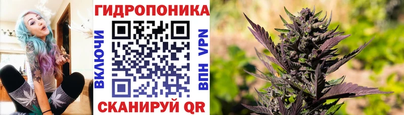 Каннабис AK-47 Волжск
